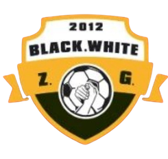 自贡弘祥电碳