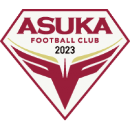飞鸟FC